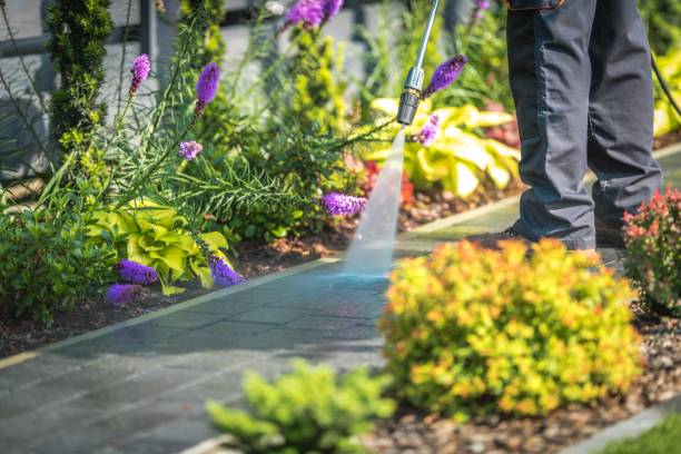 Reliable Rio Linda, CA Pressure Washing Solutions
